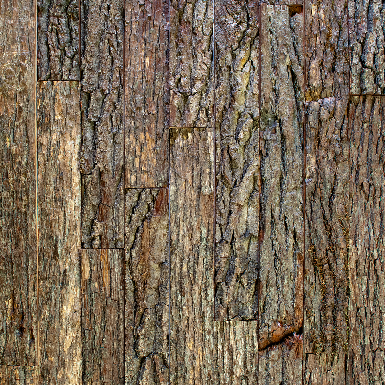 Nature Brut | Mural