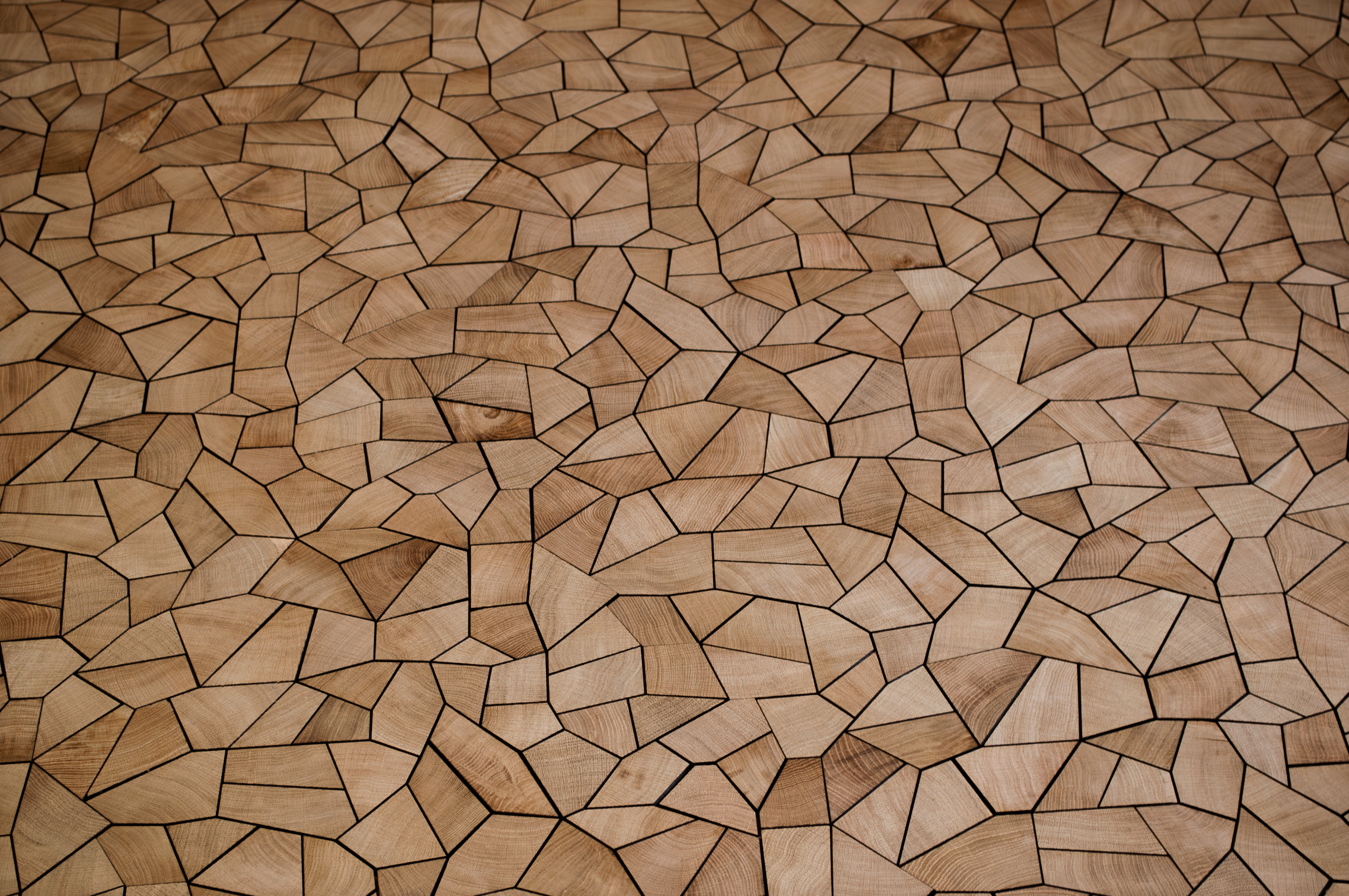 Éclats | Chêne – Image 7