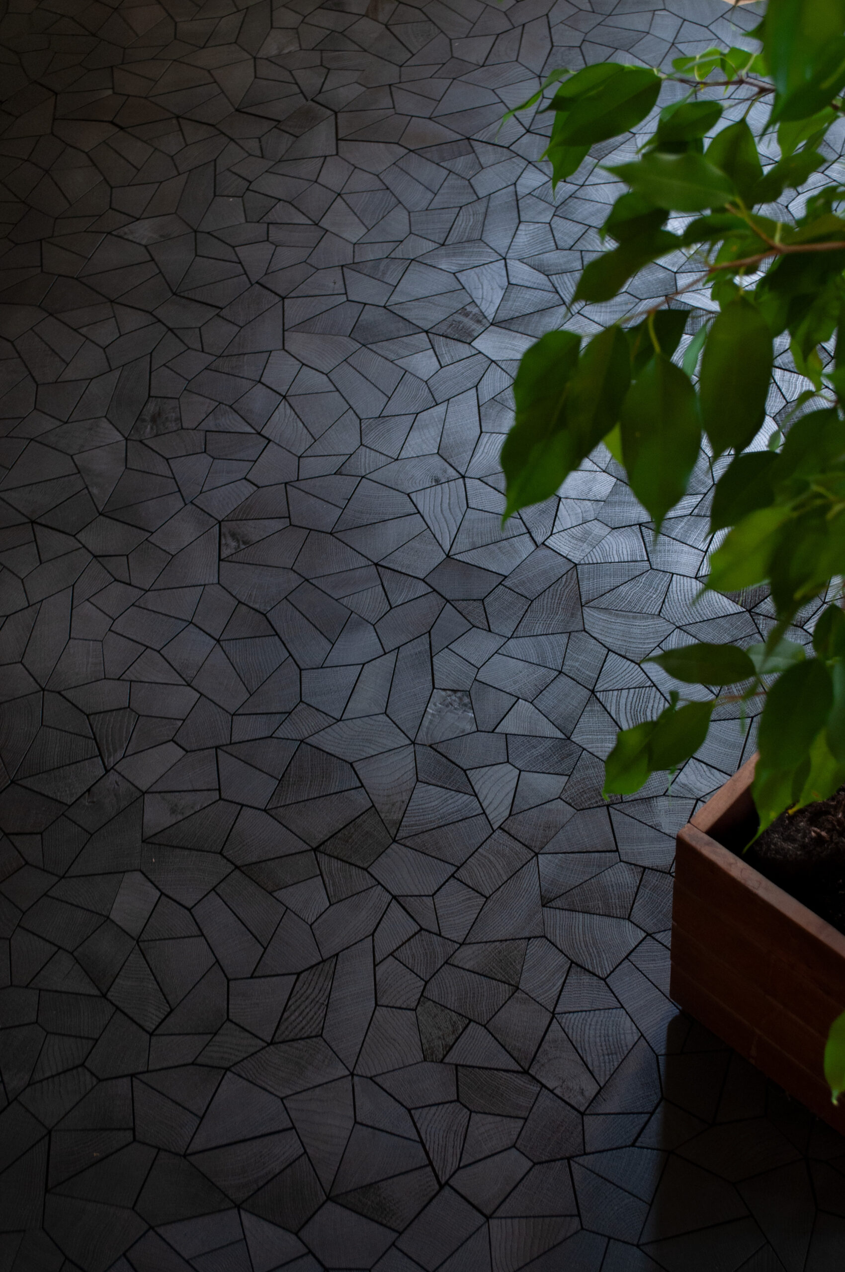 Éclats | Chêne – Image 8