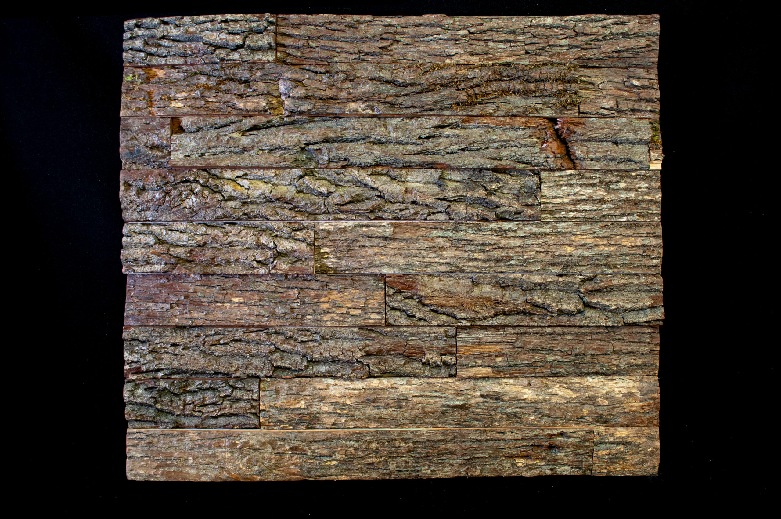 Nature Brut | Mural – Image 5