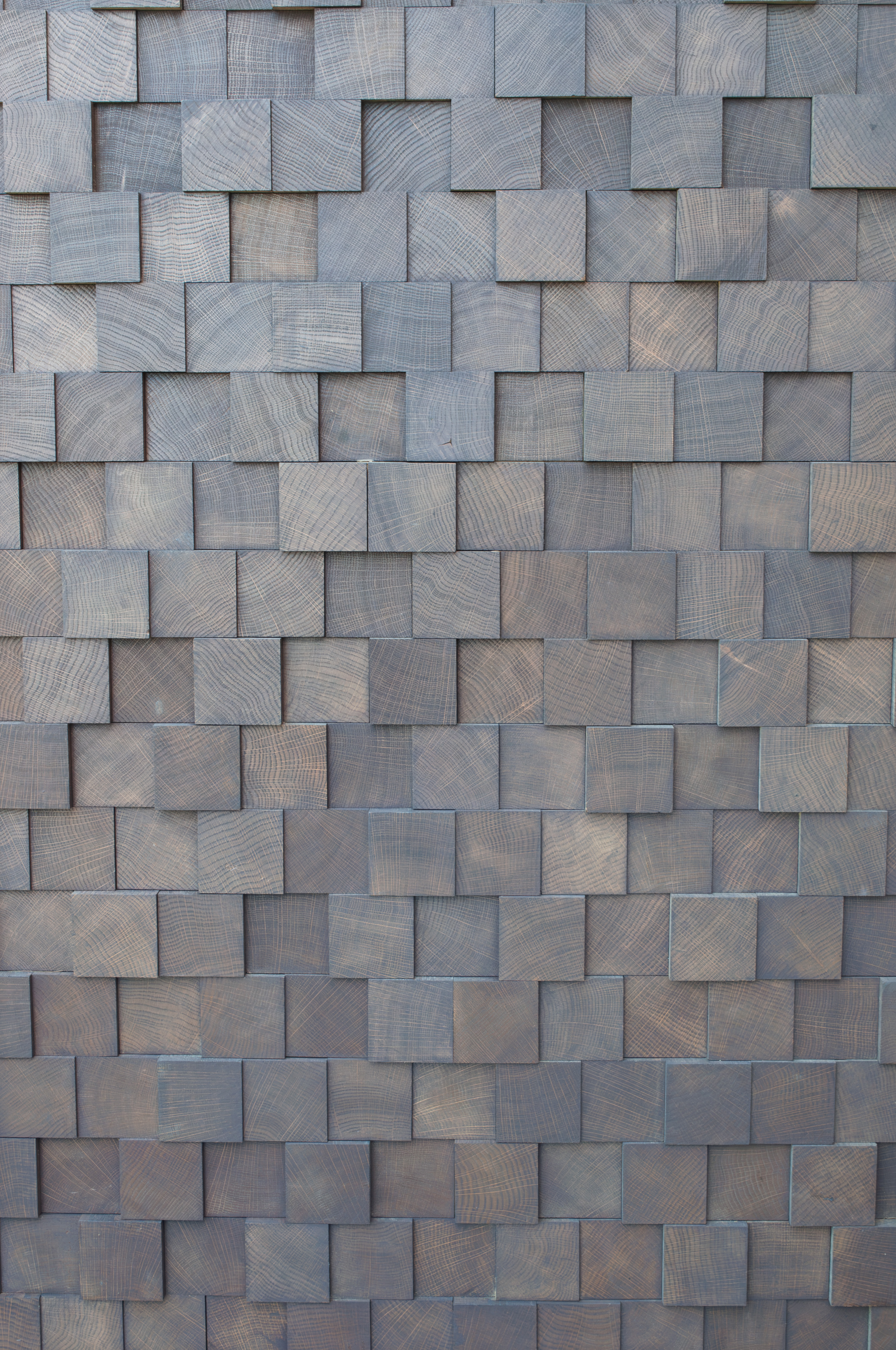 3D Mural | Chêne massif – Image 7